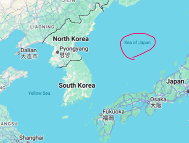 한국의 ‘동해(East Sea)’ 표기는 아직도… |