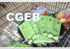GST/HST 환급, 7월부터 CGEB로 전환 …“얼마나 받나?”