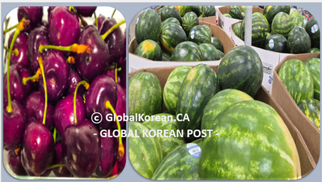 7.1 체리.수박